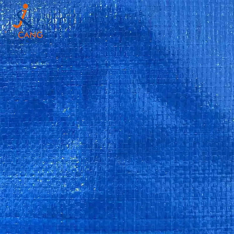 Пользовательский водонепроницаемый XXL Moving Bag